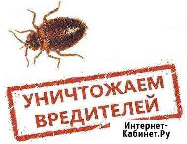 Дезинсекция-уничтожение клопов, тараканов и др. на Нижнекамск