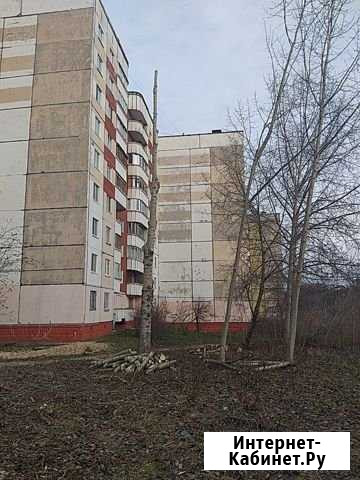 Кронирование, спил, удаление деревьев, Аренда дроб Пермь - изображение 1