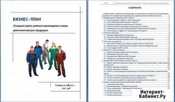 Разработка бизнес-плана для банка, инвестора, тэо Казань