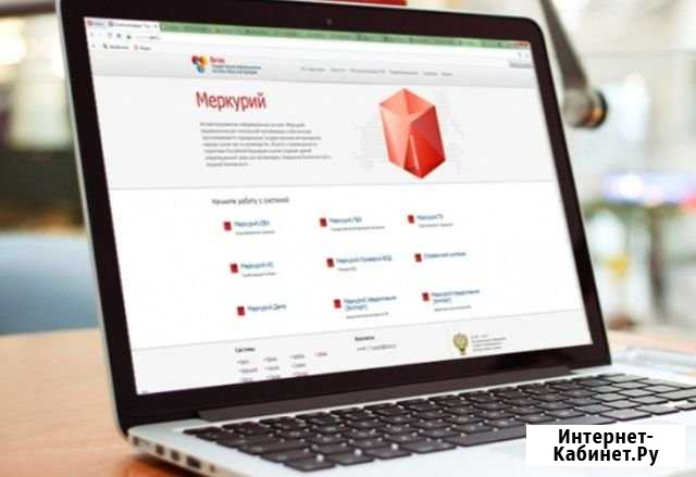 Аттестованный специалист Меркурий Челябинск - изображение 1