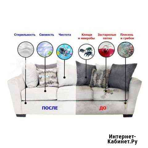 Профессиональная химчистка мягкой мебели и ковровы Калининград