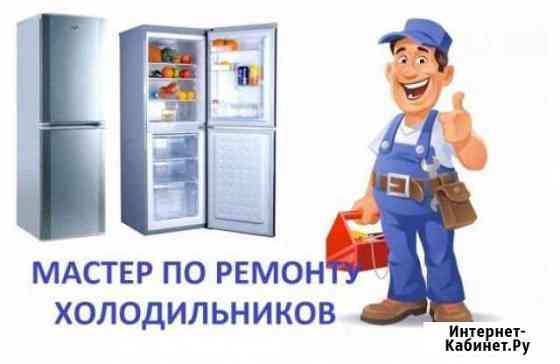 Ремонт холодильников любых видов на месте Нижний Новгород