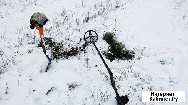 Поиск с металлоискателем в снегу/аренда Омск - изображение 1