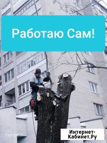 Спил деревьев. Промышленный альпинизм Владимир - изображение 1