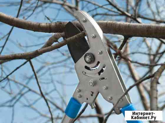 Обрезка деревьев Ростов-на-Дону