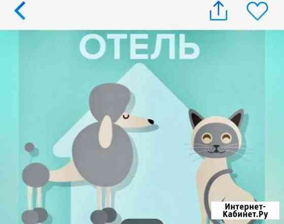 Уход за животными Стерлитамак