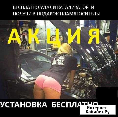 Удаление Бесплатно Катализатора Новосибирск - изображение 1
