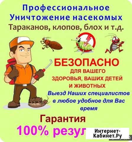 Дезинсекция, Уничтожение клопов, тараканов и тд Бийск - изображение 1