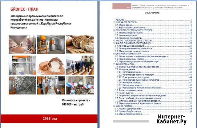 Разработка бизнес - плана с фин. моделью. тэо Москва - изображение 1