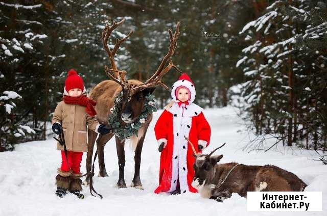 Фотосессии с оленями Санта-Клауса, верблюдом и др Нижний Новгород - изображение 1