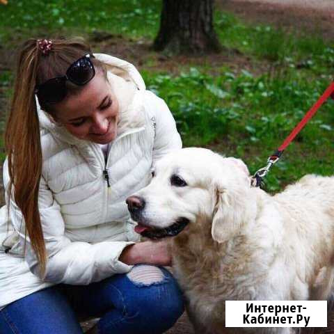 Выгул собак Санкт-Петербург - изображение 1