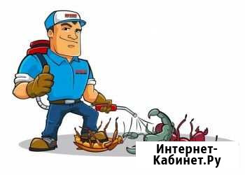 Уничтожение тараканов, клопов Иркутск - изображение 1