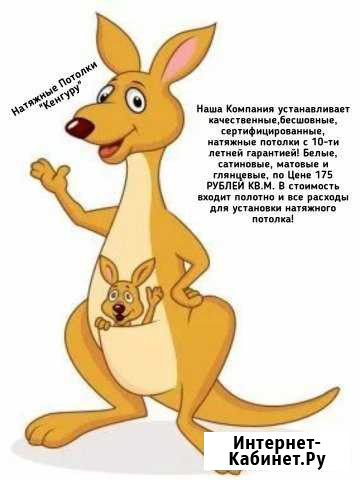 Натяжные потолкиКенгуру Декабрьская экономия Чита - изображение 1