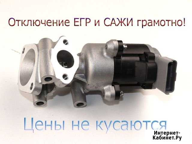 Отключить егр сажевый фильтр + тюн дизельные авто Санкт-Петербург - изображение 1
