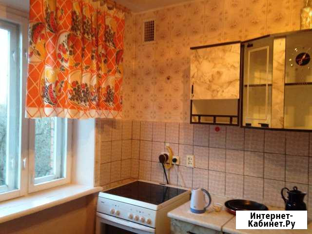 1-комнатная квартира, 37 м², 5/5 эт. в аренду на длительный срок в Пушкине Пушкин - изображение 1