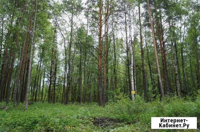 Участок ИЖС 18 сот. на продажу в Кузьмоловском Кузьмоловский - изображение 1