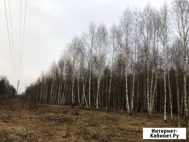 Участок СНТ, ДНП 766 сот. на продажу в Павлово Нижегородской области Павлово - изображение 1