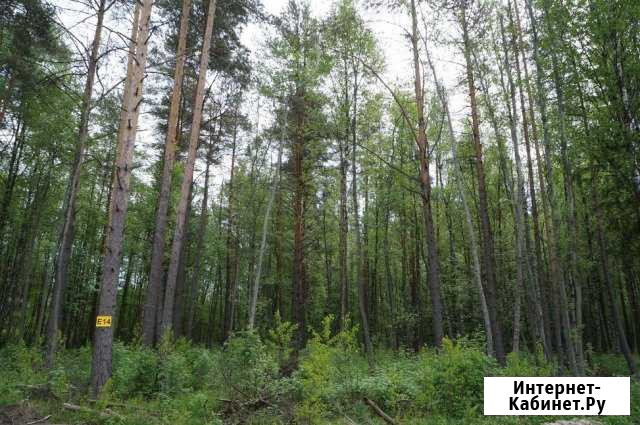 Участок ИЖС 18 сот. на продажу в Кузьмоловском Кузьмоловский - изображение 1
