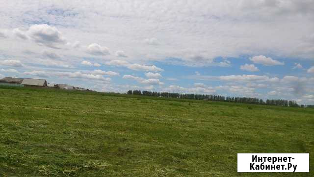 Участок ИЖС 15 сот. на продажу в Кочкурово Кочкурово - изображение 1