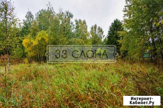 Участок ИЖС 12 сот. на продажу в Менделеево Московской области Менделеево - изображение 1