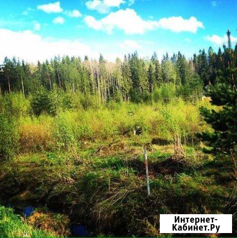 Участок СНТ, ДНП 10 сот. на продажу в Петрозаводске Петрозаводск - изображение 1