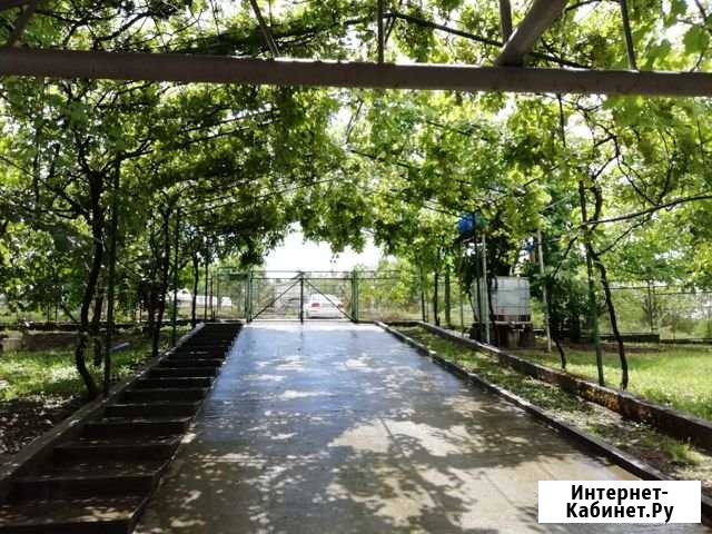 Дом 60 м² на участке 9 сот. на продажу в Сочи Сочи - изображение 1