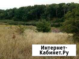 Участок СНТ, ДНП 300 сот. в аренду в Алексеевской Волгоградской области Алексеевская - изображение 1