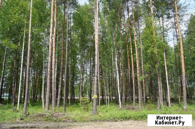 Участок ИЖС 22 сот. на продажу в Кузьмоловском Кузьмоловский - изображение 1