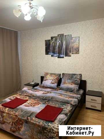 1-комнатная квартира, 40 м², 1/5 эт. в аренду посуточно в Пушкине Пушкин - изображение 1