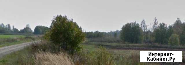 Участок СНТ, ДНП 100 сот. на продажу в Богородском Московской области Богородское - изображение 1