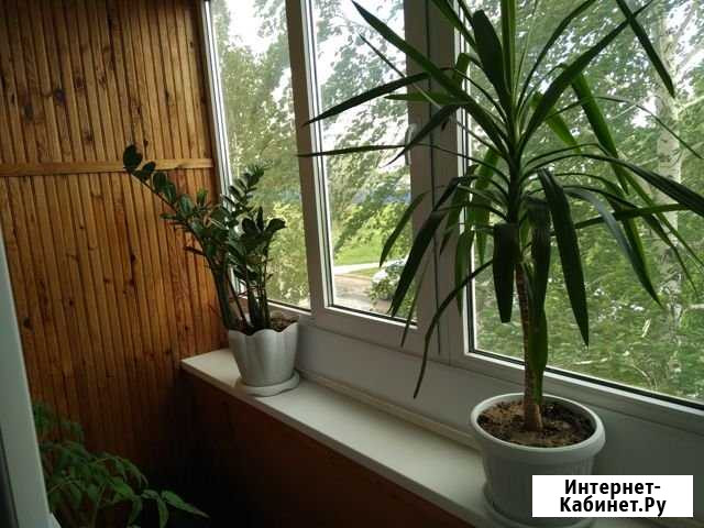 4-комнатная квартира, 80 м², 2/8 эт. на продажу в Ульяновске Ульяновск - изображение 1
