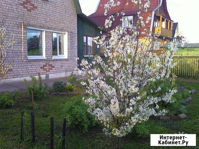Дом 205 м² на участке 19.8 сот. на продажу в Пролетарии Пролетарий - изображение 1