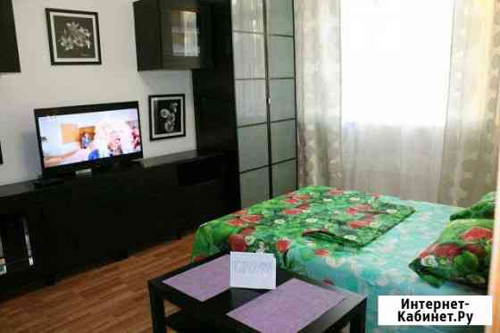 1-комнатная квартира, 41 м², 2/28 эт. в аренду посуточно в Екатеринбурге Екатеринбург