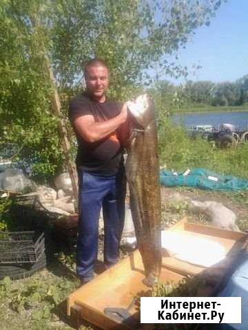 Участок ИЖС 47 сот. на продажу в Красной Поляне Краснодарского края Красная Поляна - изображение 1