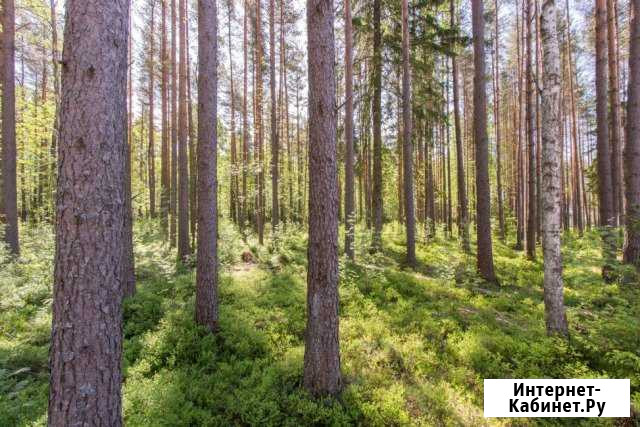 Участок ИЖС 35 сот. на продажу в Кузьмоловском Кузьмоловский - изображение 1
