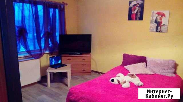 Квартира-студия, 31 м², 3/5 эт. в аренду на длительный срок в Мурманске Мурманск - изображение 1