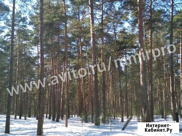 Участок ИЖС 200 сот. на продажу в Зеленогорске Ленинградской области Зеленогорск - изображение 1