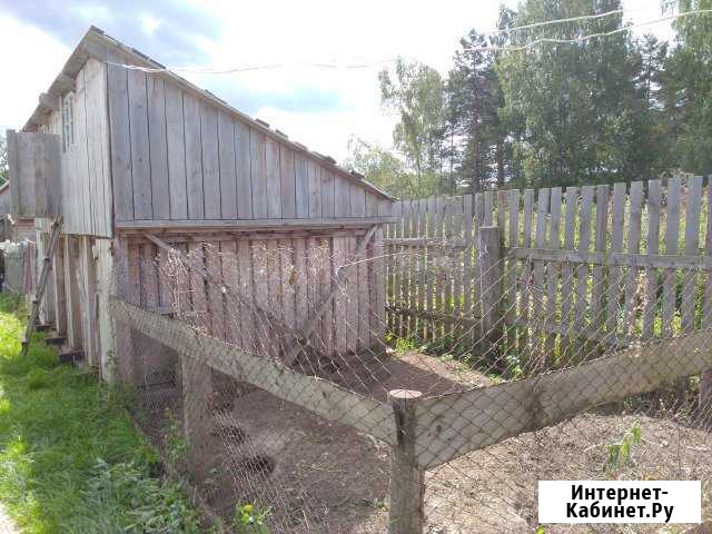 Участок ИЖС 9 сот. на продажу в Любиме Любим - изображение 1