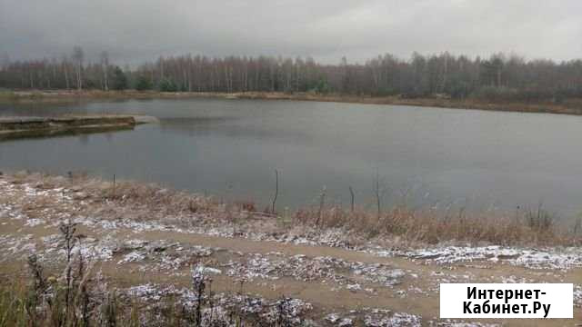 Участок СНТ, ДНП 2500 сот. на продажу в Гусе-Хрустальном Гусь-Хрустальный - изображение 1