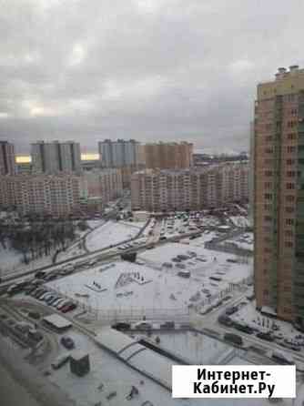 1-комнатная квартира, 31 м², 15/19 эт. в аренду на длительный срок в Пушкине Пушкин