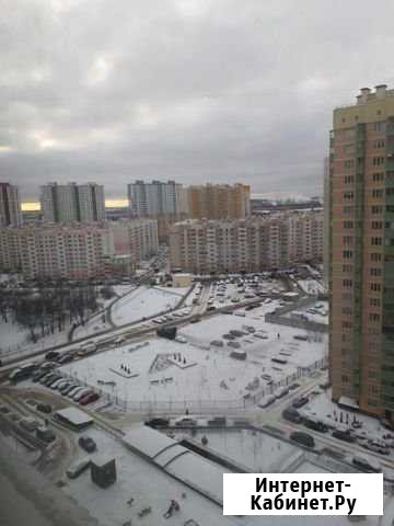 1-комнатная квартира, 31 м², 15/19 эт. в аренду на длительный срок в Пушкине Пушкин - изображение 1