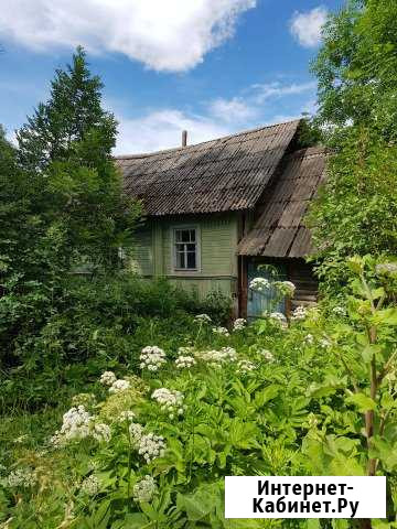 Дача 50 м² на участке 60 сот. на продажу в Порхове Порхов - изображение 1