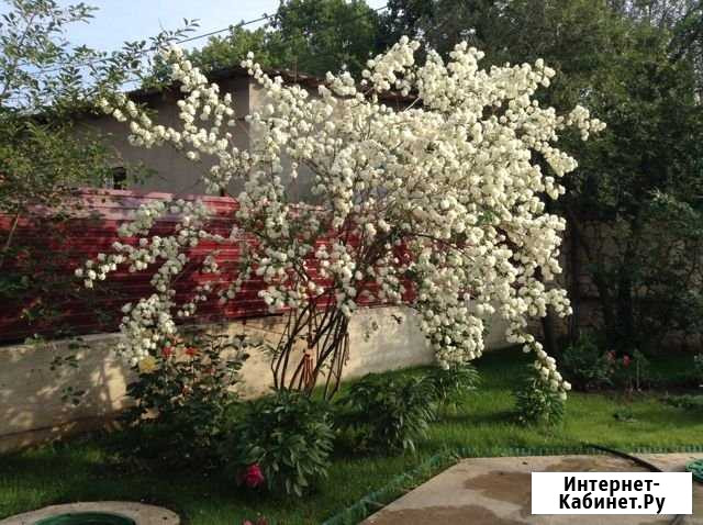 Коттедж 330 м² на участке 7.5 сот. в аренду на длительный срок в Самаре Самара - изображение 1