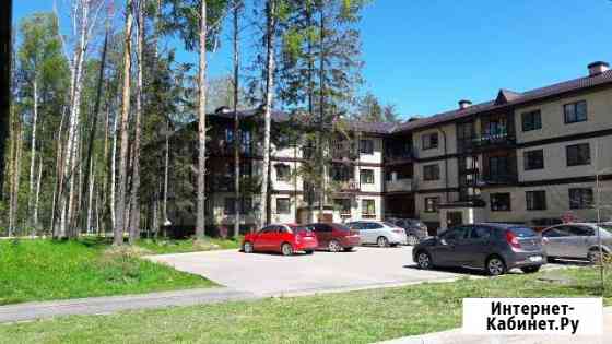 1-комнатная квартира, 40 м², 3/3 эт. на продажу в Сертолово Сертолово