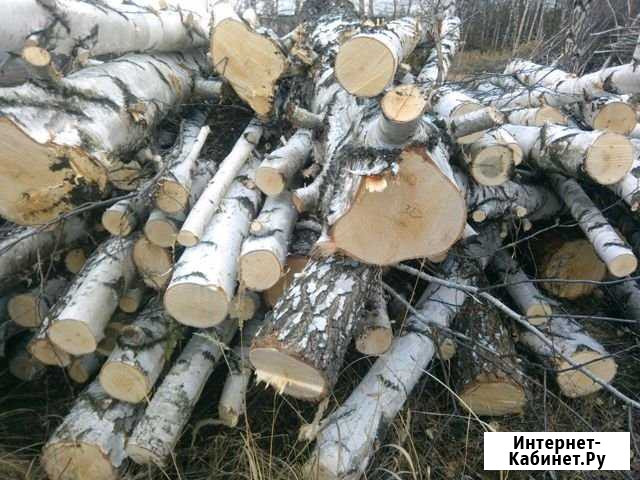 Спил деревьев Воронеж - изображение 1