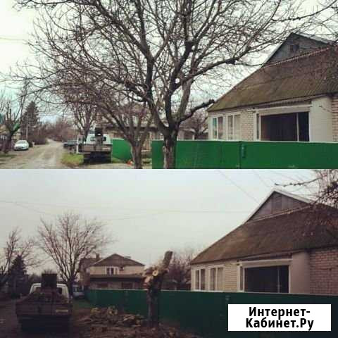 Вывоз веток Абинск - изображение 1