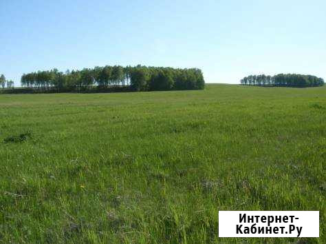 Оспаривание кадастровой стоимости Красноярск - изображение 1