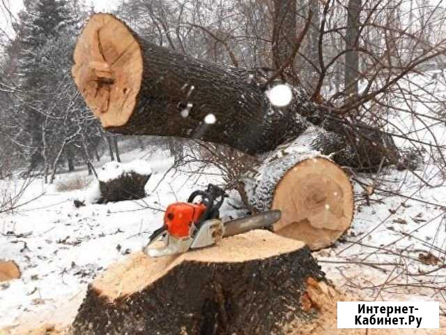 Спил деревьев Нижний Новгород - изображение 1