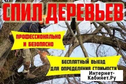 Спил деревьев, кустарника Калуга - изображение 1