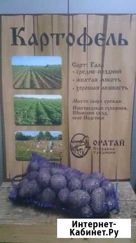 Картофель Великий Новгород - изображение 1